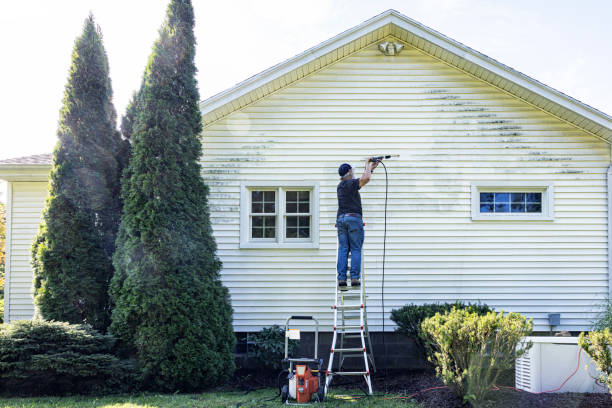 Best Residential Pressure Washing Services  in Cattaraugus, NY