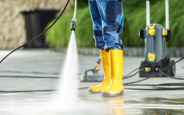 Best Roof Pressure Washing  in Cattaraugus, NY